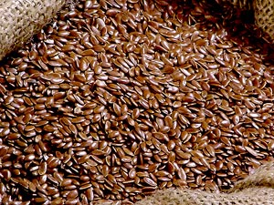 Flaxseed no help for kids with high cholesterol